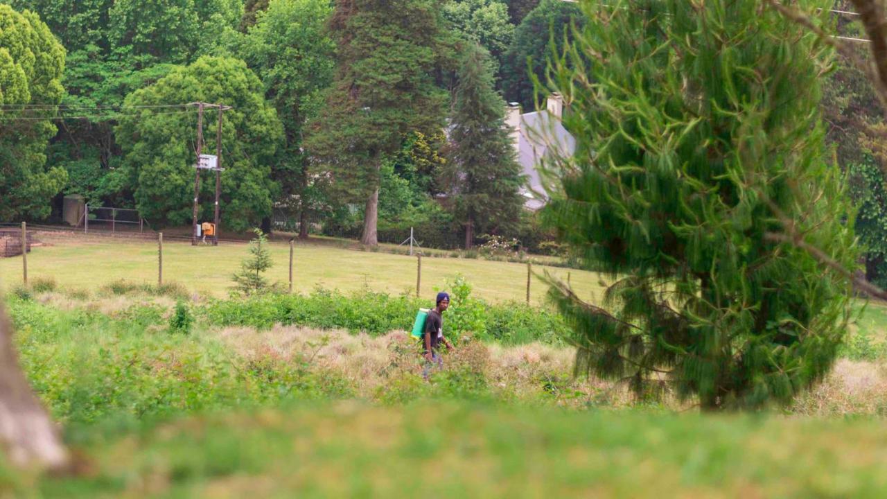 Arum Hill Lodge Balgowan Luaran gambar
