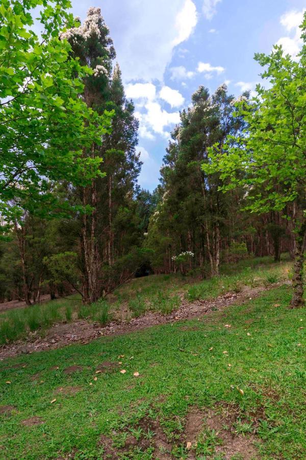 Arum Hill Lodge Balgowan Luaran gambar